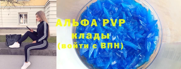 прущие грибы Кулебаки