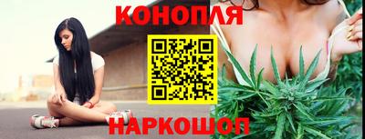 прущие грибы Бузулук