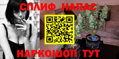 таблы Будённовск