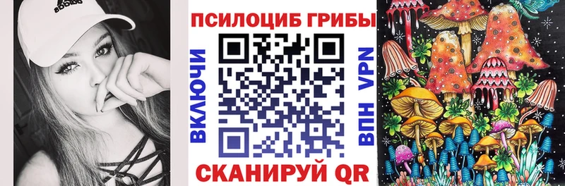 закладки  Новоалтайск  Галлюциногенные грибы мицелий 